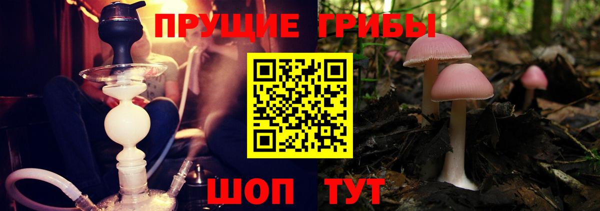 Галлюциногенные грибы прущие грибы Звенигород